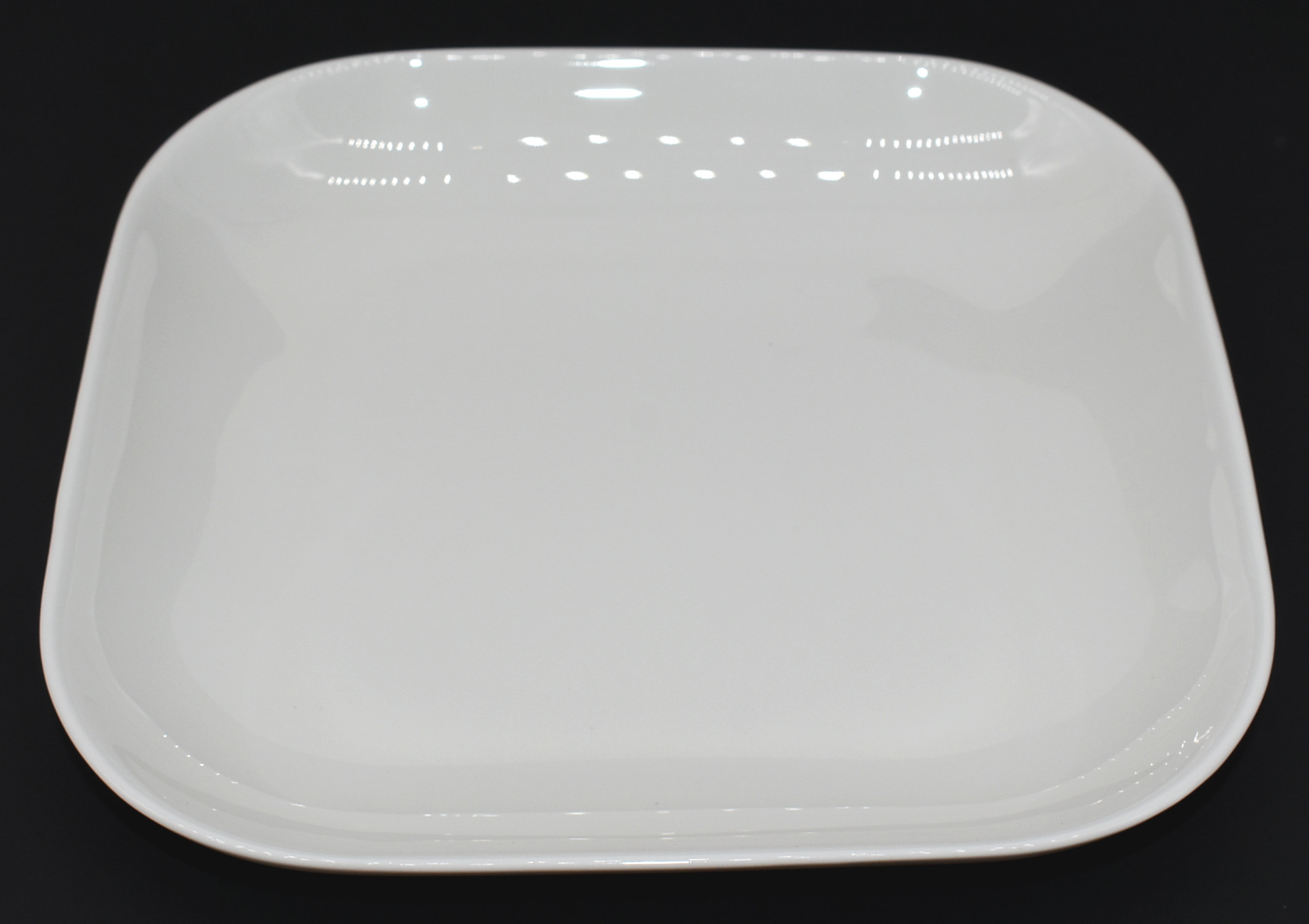 PLATE 8